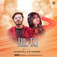 Dil To Pagal Hai -( Remix ) -DJ SKYFALL  DJ CASHEW by INDIAN DJS MUSIC - 'IDM'™