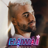 HAWAI MIX by DJ Zeven