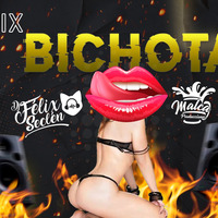 Mix Bichota [DjFélixSeclén 2020] by Dj Félix Seclén