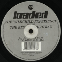 The Wildchild Experience - Do What You Like by Roberto Freire