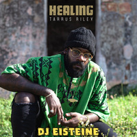 TARRUS RILEY - HEALING DJ EISTEINE by DJ EISTEINE