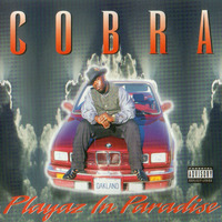 03. Cobra - Mary J. by Flash total...