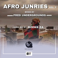 Afro Junries Vol.5 Mixed By Fred Undergrounds by Fred_Undergrounds
