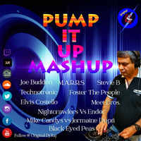 Pump It Up Mashup/Edit (Original DJ Raj Edit) by Original DJ Raj