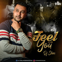 Feel For You Mashup by D.j. Shan