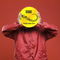 Tonic Punk - Delight Soulful Vibes (InTheHouse RMM 550  Mix) by Tonic Punk