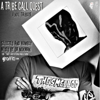 Dr Nokman' s Tribe Call Quest Tribute by Ptr&Stvn
