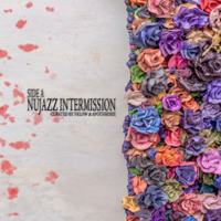 Nujazz Intermission Side A Curated By Nelow &amp; Apotheosis by Nelow & Apotheosis