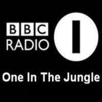 One In The Jungle - DJ Ron and String - Unbroadcast pilot by sti3