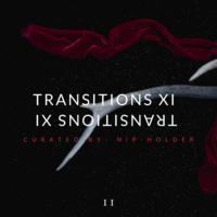 Transitions Series XI (Mixed By Nipho) by Sanele