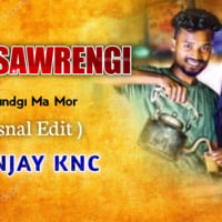 AAJA SAWRENGI GORI JINDGI MA MOR 36garhdj.com REMIX DJ SANJAY KNC by indiadj