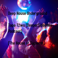Deep House Underground Tape T2wo [DeepersideofMe Podcast] [The House of Sapients] by Szle Peppar