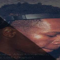 The Progresive Afro Movement(The Last Chapter) by Methodical