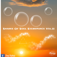 Shades Of Soul Exuberance Vol.11 by ZiuQ