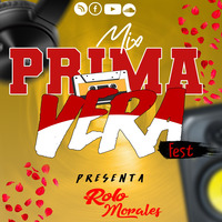 MIX PRIMAVERA FEST 2020 ✘ [DJ ROLO MORALES] by DJ Rolo Morales