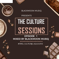 The Culture Sessions episode 1( Mixed by Blackmoon MusiQ) by Echosonic Deep