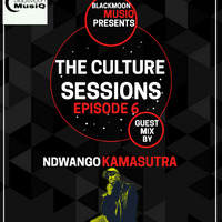 THE CULTURE SESSIONS EPISODE 6 GUEST MIX BY NDWANGO KAMASUTRA by Echosonic Deep