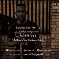 Soweto Feel Vol 12 ( Tribute To ItsAmuSA ) by Dj Lil'Vee