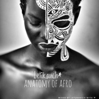 Letukavich Anatomy Of Afro by Thabang Letùka