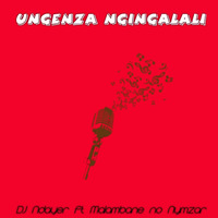 DJ Ndayer ft Malambane no Nymzar-Ungenza Ngingalalie by DJ Ndayer SA