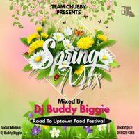 Spring Mix(Road To UFF2020) Mixed By Djy Buddy Biggie(Team Chubby) by Buddy Biggysa