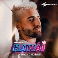 Maluma - Hawai (Intro - Chorus) - De Salgguero - 90 Bpm by DJ Salgguero