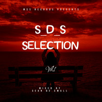 S.D.S Selection Vol 01 by Sean Morgan