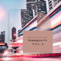 Tranquility Vol.8 Mixed By Native Soul by Baba Natez
