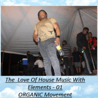 The Love of House Music With Elements - 1 delivered by UMkhwethane by UMkhwethane