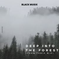 Black Musix - Deep Into The Forest (VDHM Ten10 Mix) by BLACK MUSIX