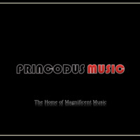 EyeRonik - Defects (Princodus Dj's Magnificent Mix) by Princodus Dj