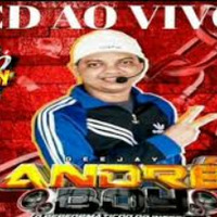 CD AO VIVO DJ ANDRÉ BOY DEZEMBRO 2020 by site festa das aparelhagens