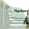 Ntokozo Ngubane