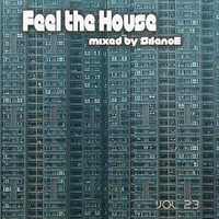 djSilencE - Feel The House - 23!!! by RuslaN_SilencE