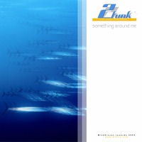 2funk - Something around me (Single)