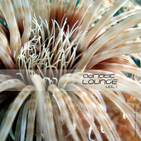 Adriatic Lounge vol.1 (Compilation)