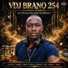 Vdj brano