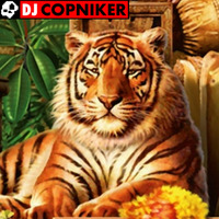 Dj Copniker - Accor by Dj Copniker