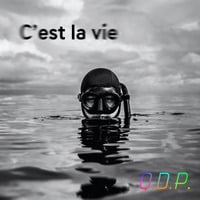 Q.D.P. - C'est la vie (Quickmix Radio Mix) by Quickmix™