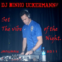 Set 10 The Vibe of the Night - Jan 2011 by DJ Binho Uckermann