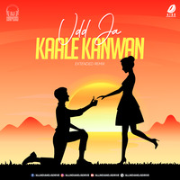 Udd Ja Kaale Kanwan (Extended Remix)  - DJ Rupesh by AIDD