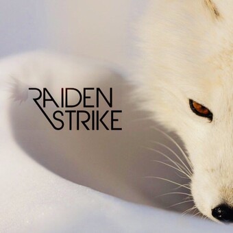 raiden strike