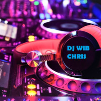 Mega dancehall mix by dj WIB Chris .Back to the roots by DJ Wib Chis