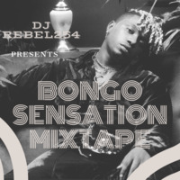 Bongo Sensation DJ REBEL254 by Dj_Rebel254