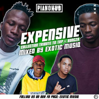 Expensive Collection 10 (Tribute to Trp &amp; Bongza) MP3 by Exotic MusiQ