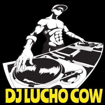 Lucho Cow