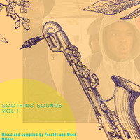 Soothing Sounds Vol1 Mixed And Compiled by Pera101 &amp; Meek Milano by Mpumelelo Mkhize