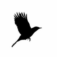 Lee DeWyze - Blackbird Song (Mad Heads Movement Drum´n´Bass Remix) FREE DL by Overflow - Mad Heads Movement