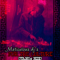 METICULOUS DJ's FOR THE CULTURE (YANOs MIX) by Meticulous dj