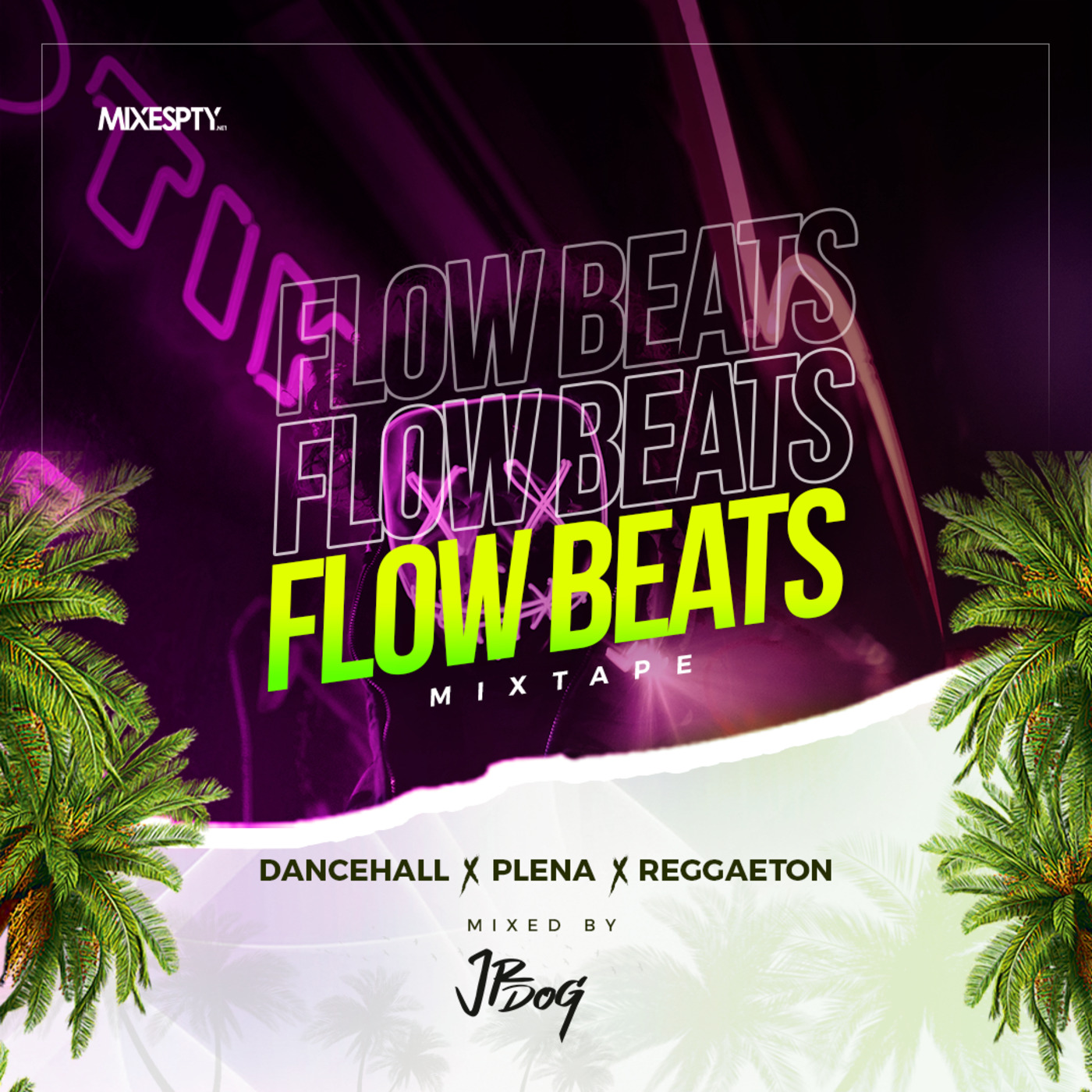 FlowBeats Dancehall X Plena X Reggaeton - Jrdog507